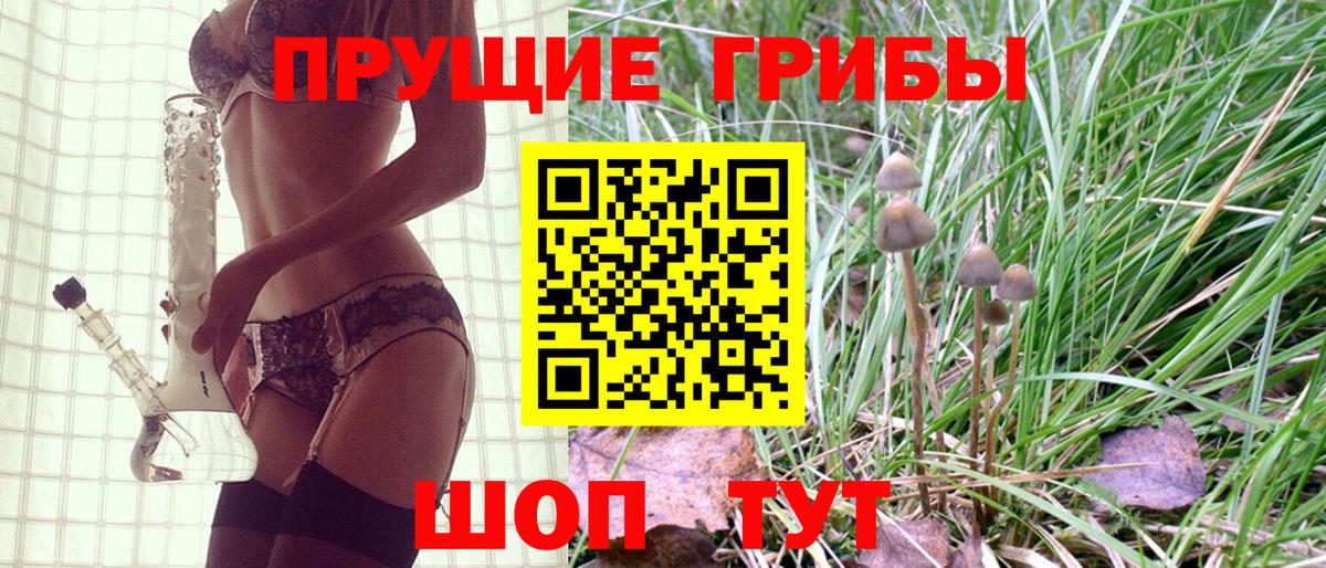 Псилоцибиновые грибы MAGIC MUSHROOMS  Вход с VPN  Гай  Галлюциногенные грибы Psilocybe 