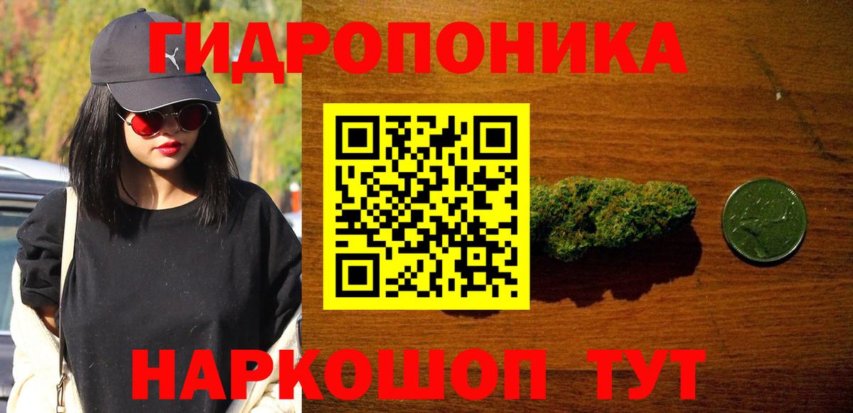 Каннабис сатива  Марихуана OG Kush  Конопля White Widow  Вход с VPN  Гай  Канабис планчик 